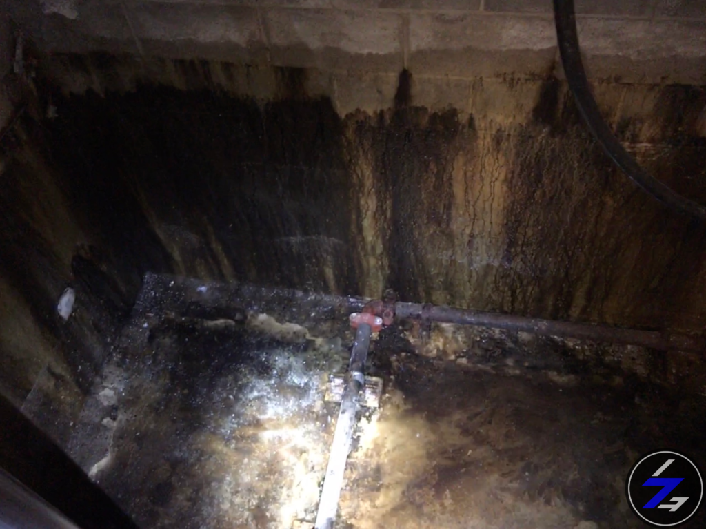 The Dangers of Poor Waterproofing in Commercial Buildings – Spec 7 Group